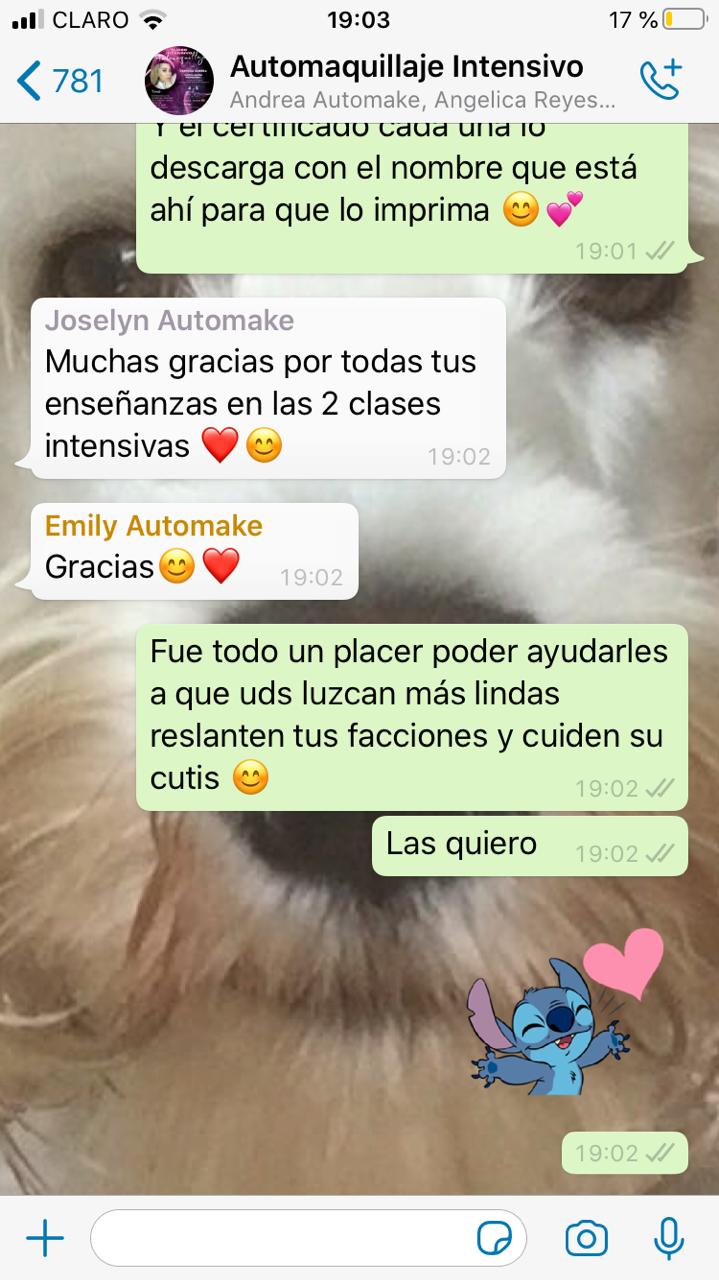 Mensaje real de una alumna del taller de automaquillaje (9)